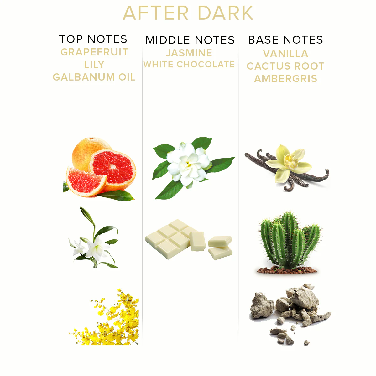 After Dark Perfume