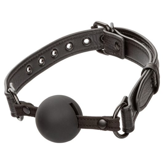 Ball Gag