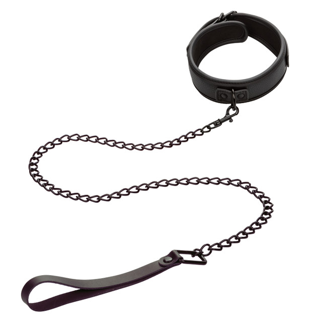 Collar & Leash