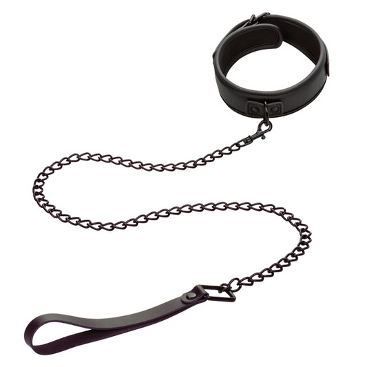 Collar & Leash