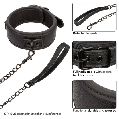 Collar & Leash